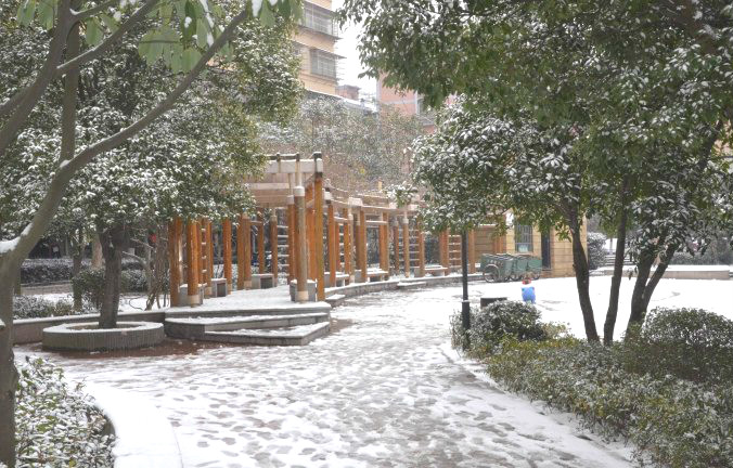 初雪逢周末，多个项目及时展开清理工作