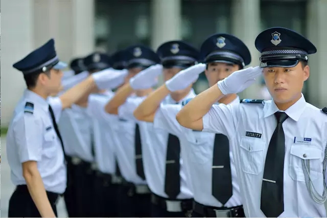 精进专业技能，共护和谐家园