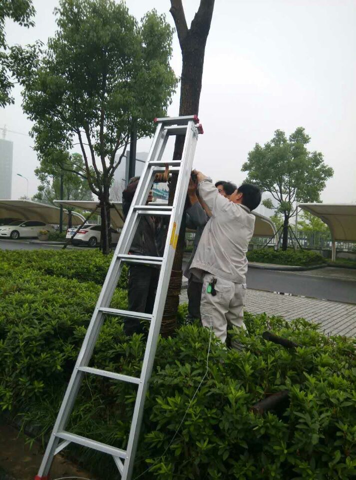 14367522011051303D31.jpg QQ图片20150709173917.jpg