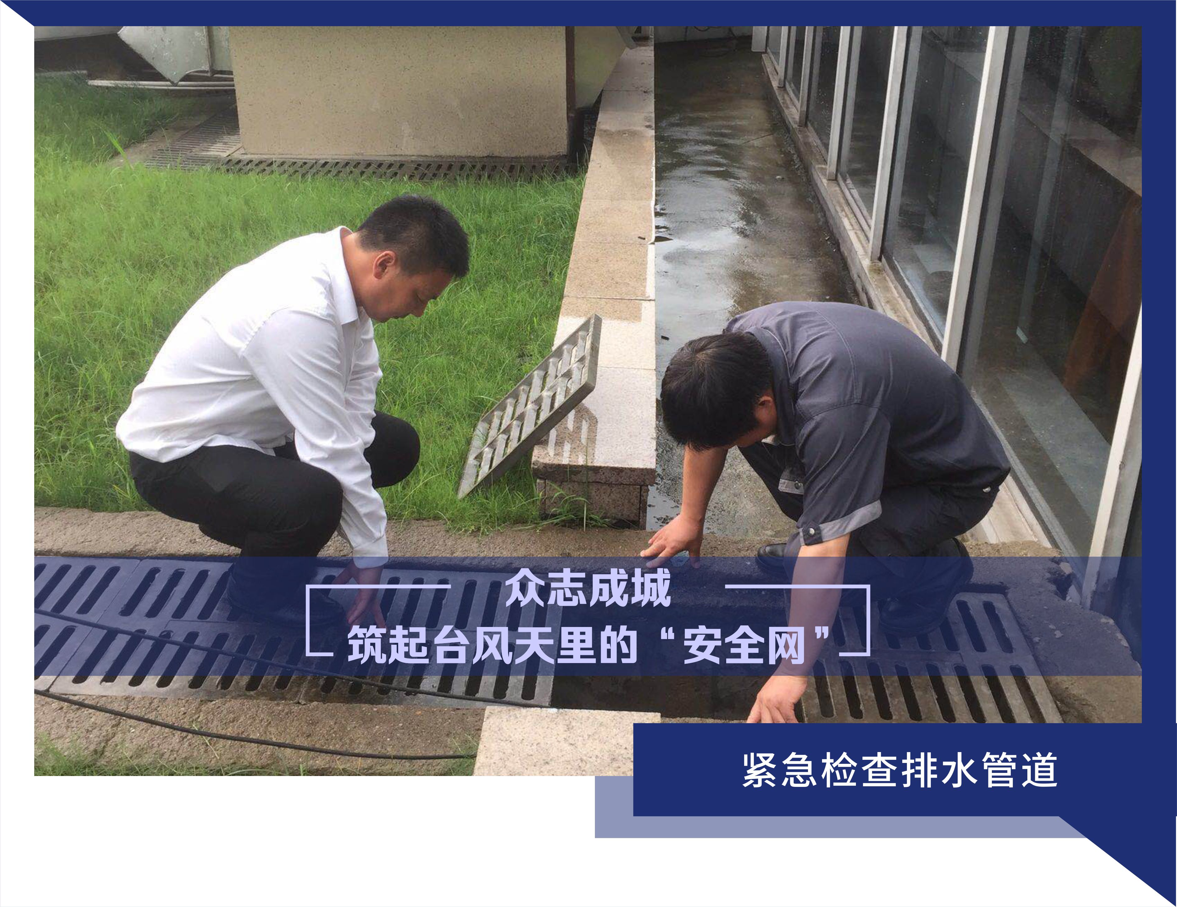 15325047485607049FE3.jpg 6.jpg