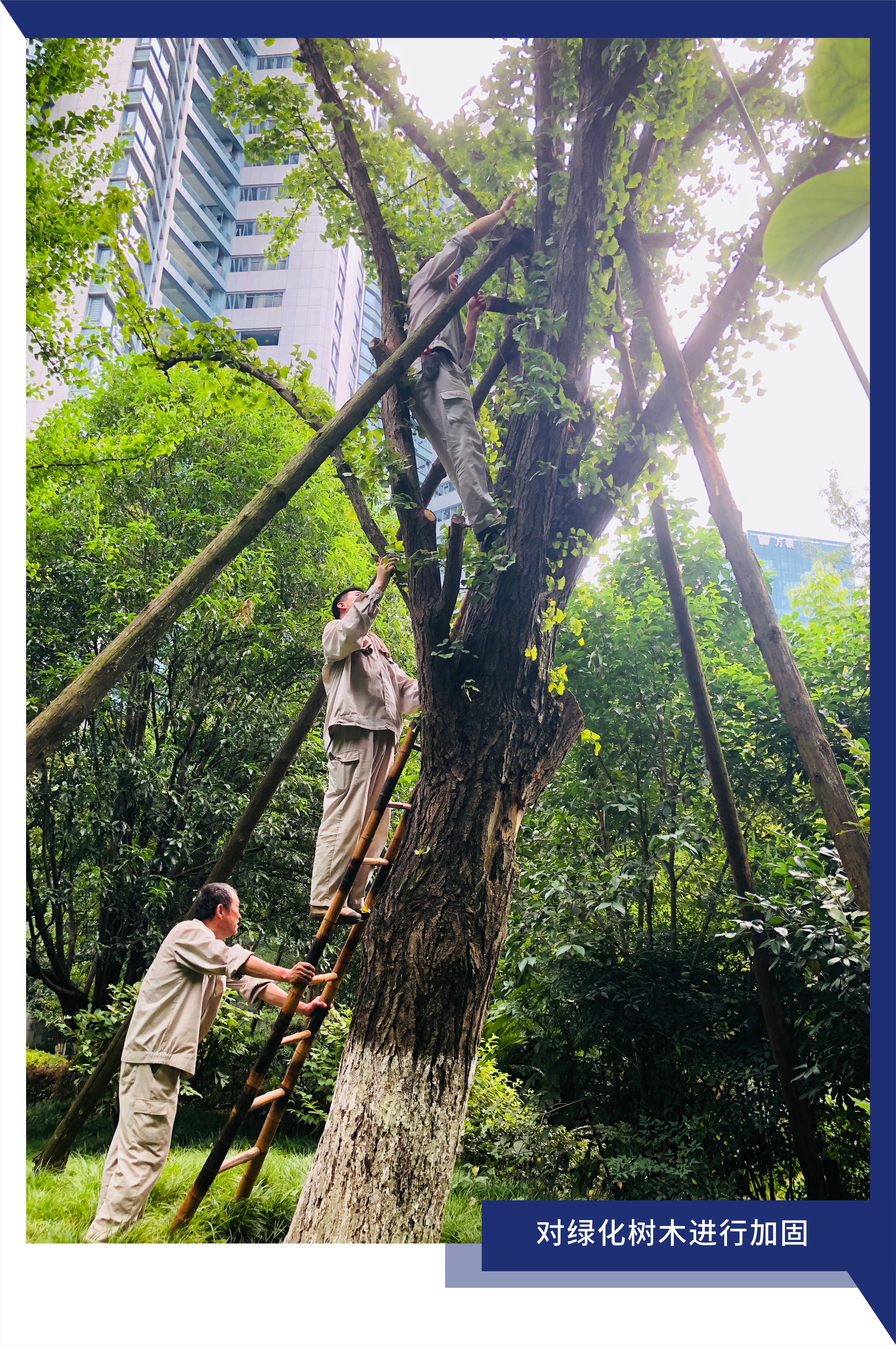 15325048279233756A39.jpg 3.jpg