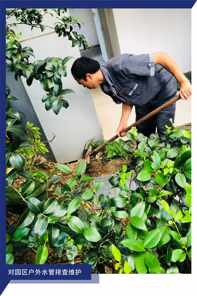 1532504959858570DABC.jpg 2_副本.jpg