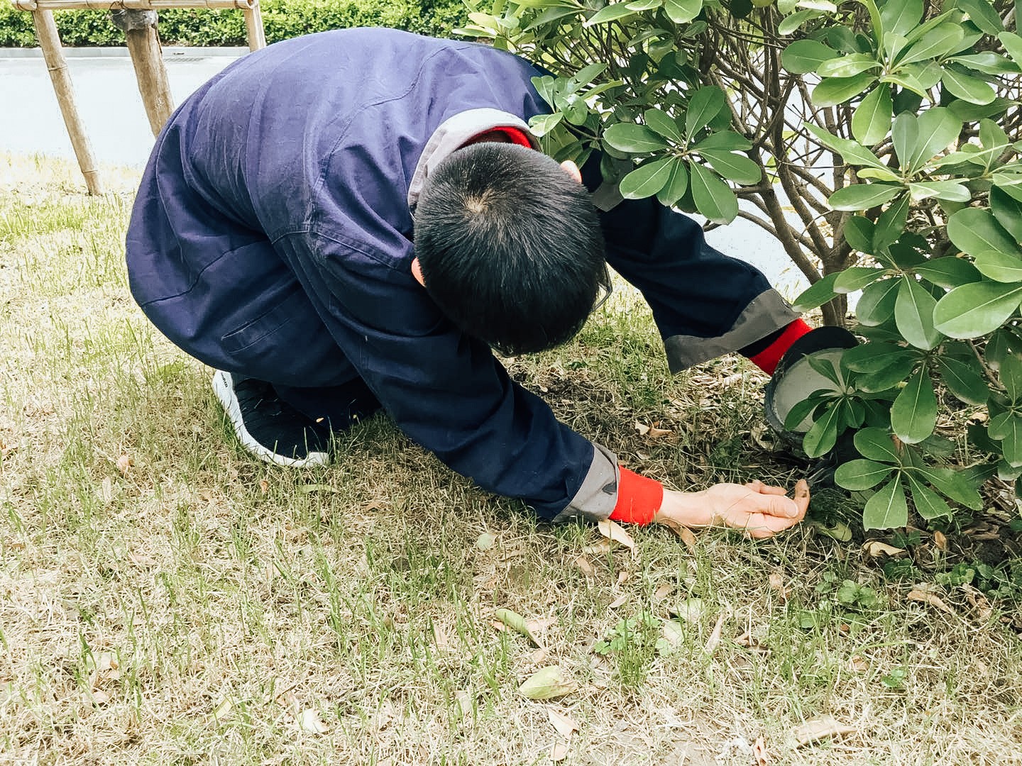 1559525860580584205D.jpg 微信图片_20190531093500.jpg