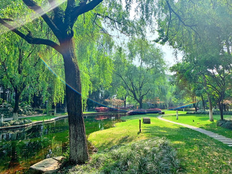 1579227247624399GqrW.jpg IMG_3377.jpg